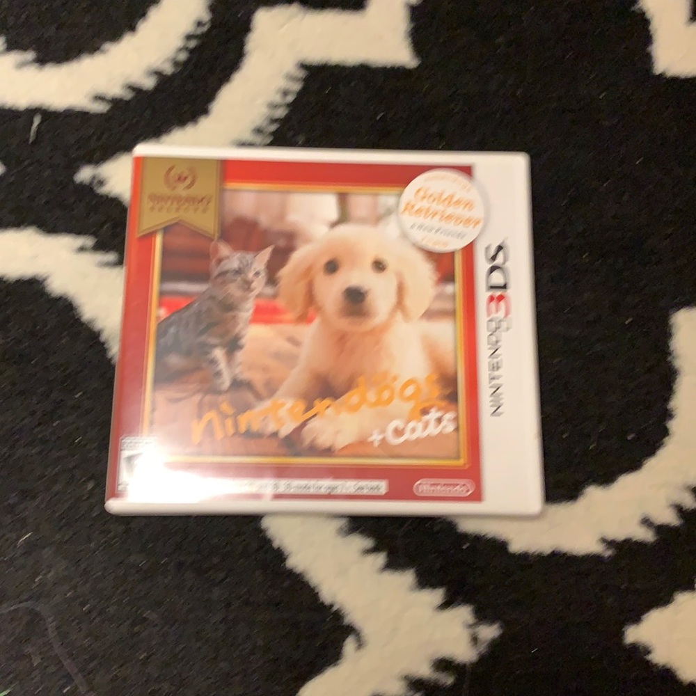 Nintendo 3DS game